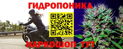 ALPHA PVP Ливны