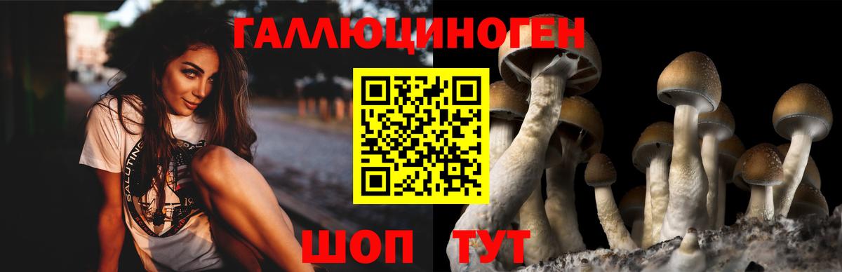 Псилоцибиновые грибы MAGIC MUSHROOMS  Вход с VPN  Гурьевск 